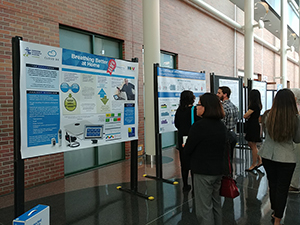 Photo of delegates viewing posters