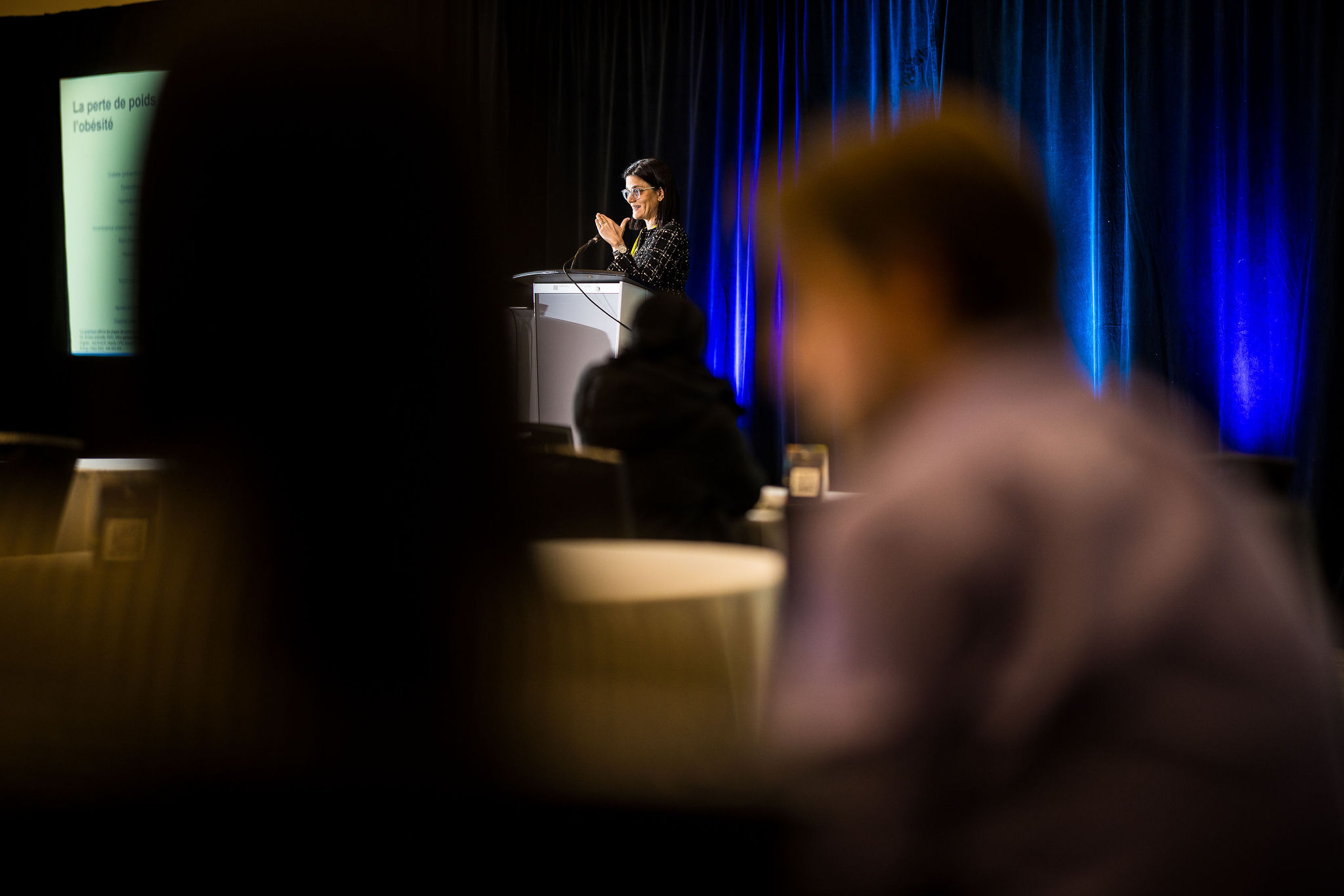 A speaker presents on stage to the audience at Journées Montfort.