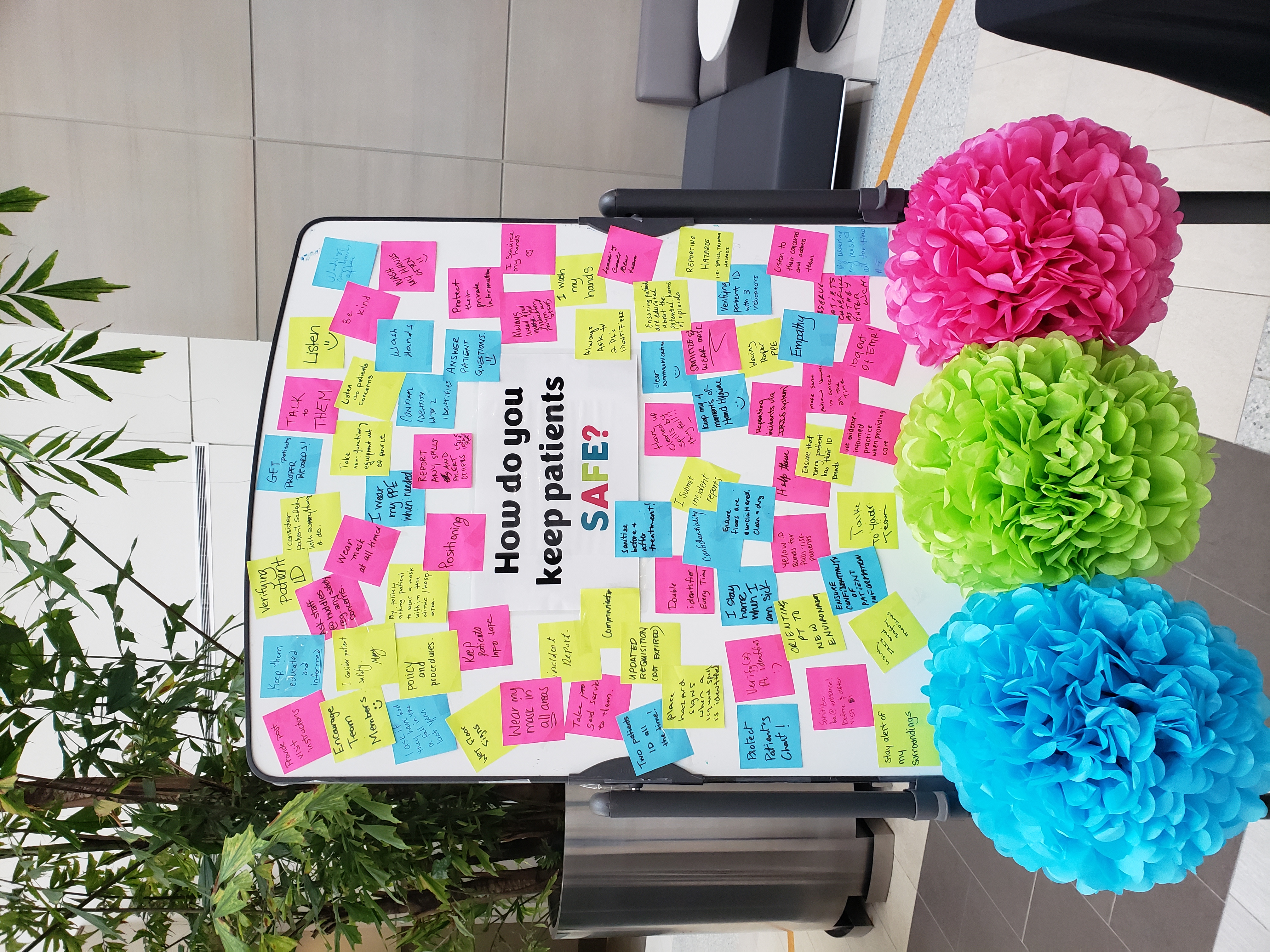 A patient safety week engagement activity for staff and patients, 2024.