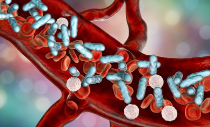 stock image, cells
