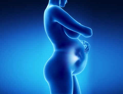 image of pregnant belly